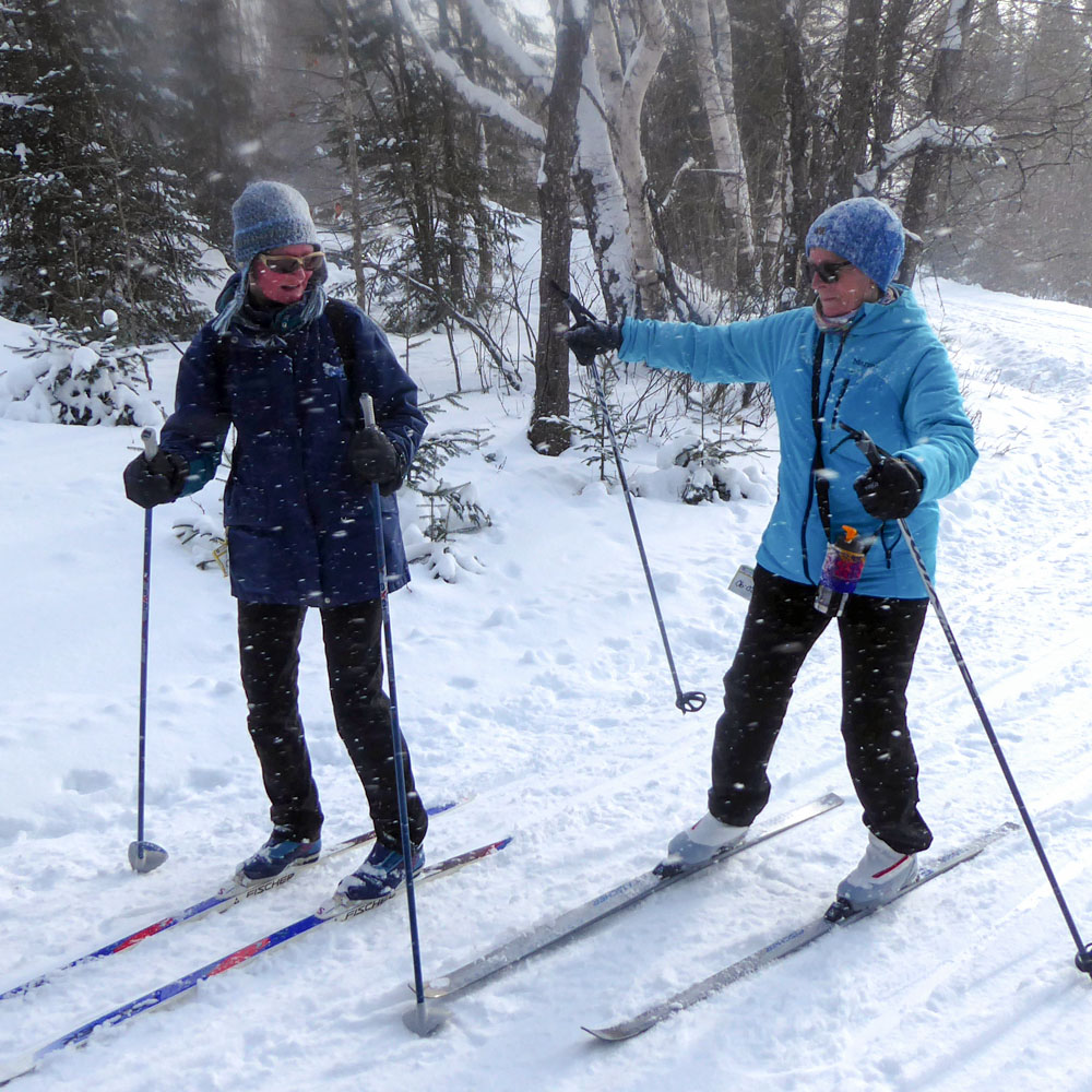 people on cross country skis on the woods